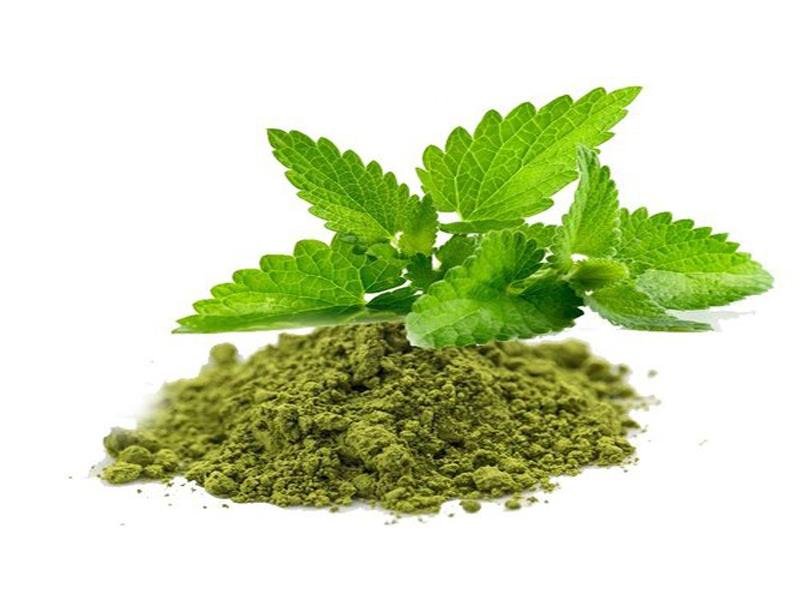 Tulsi-Powder